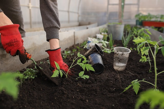 Tuinman in Etten-Leur