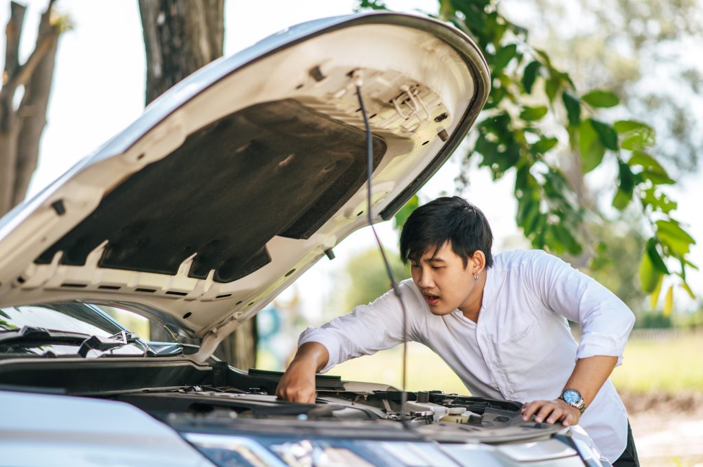 Auto reparatie in Etten-Leur